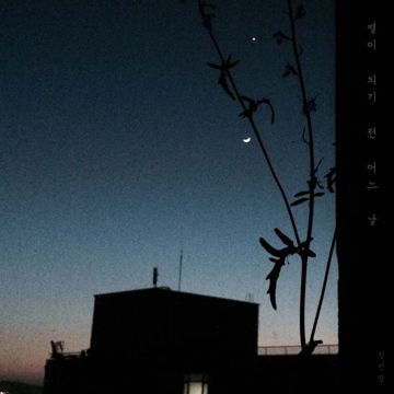 선인장-cover