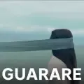 coveImg