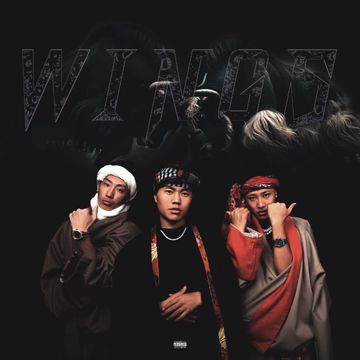 雪域之巅-cover