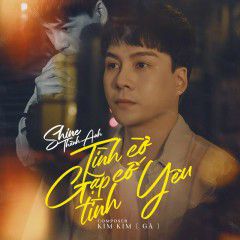 Tình Cờ Gặp Cố Tình Yêu-cover
