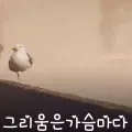 coveImg