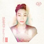 분홍길-cover