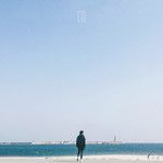 나무가 되어-cover