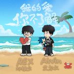 我的爱你不了解-cover