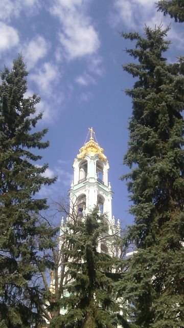 Калина красная14