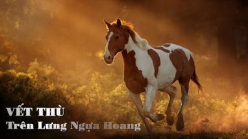 LK Ngựa Hoang