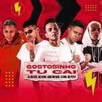 Gostosinho Tu Cai-cover
