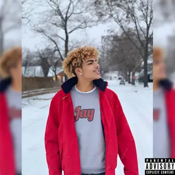 Friends Will Be Fake-cover