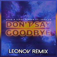 Don't Say Goodbye-cover