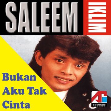 Bukan Aku Tak Cinta-cover