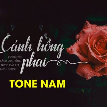 Cánh Hồng Phai - Tone Nam - Karaoke-cover