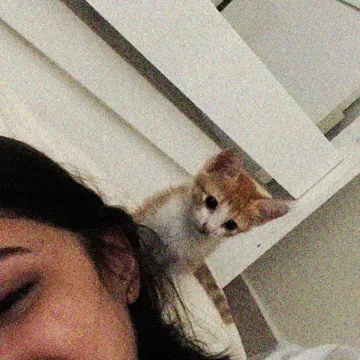 coveImg