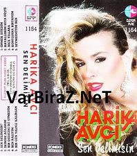 SEN DELİMİSİN-cover