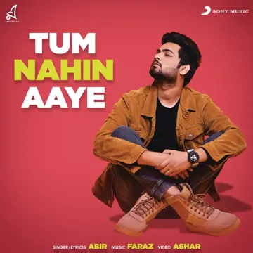 Tum Nahin Aaye-cover