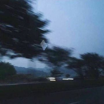 保质期-cover
