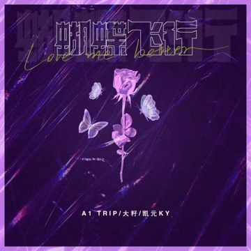 蝴蝶飞行-cover