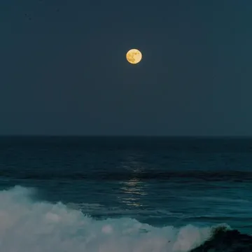coveImg