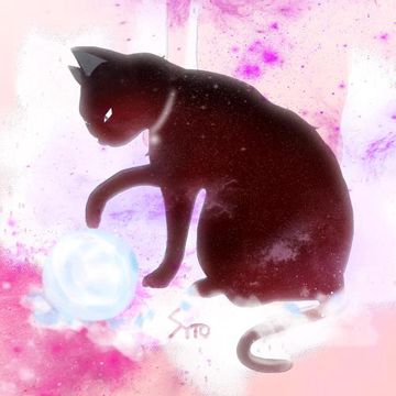 Snowdrift-cover