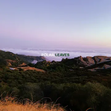 Leaves-cover