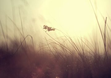 สายลมที่หลับไหล - Ost.blade and soul