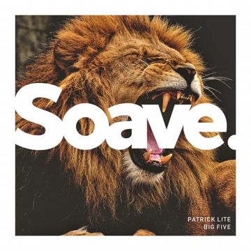 Big Five-cover