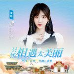 只怪相遇太美丽-cover