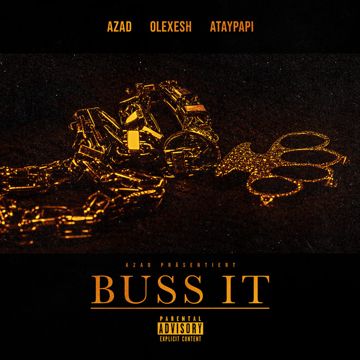 BUSS IT-cover