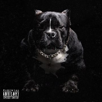 Perro Sin Cadena-cover