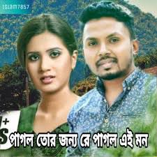 পাগল তোর জন্যে রে-cover