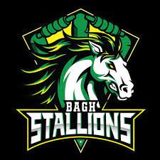 Baghi (Bagh Stallions Official Anthem)-cover