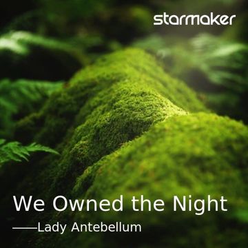 We Owned the Night-cover