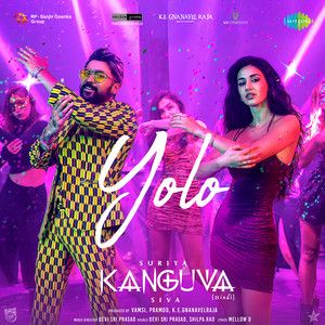 Yolo-cover