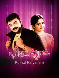 Aaru Paranju (Short Ver.)-cover