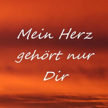 Mein Herz gehört nur dir-cover