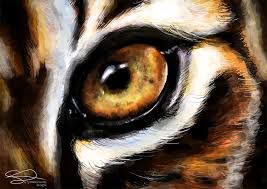 Eyes of the tiger - Acoustic lounge by PierreM66-cover
