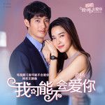 我可能不会爱你-cover