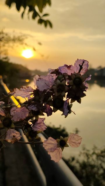 thoi tre roi chac anh phai ve day