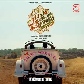 Minnal Villai Penne (From "Paapam Cheyyathavar Kalleriyatte")-cover