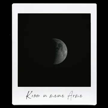 Komm in meine Arme-cover
