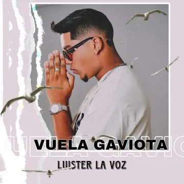 Vuela Gaviota-cover
