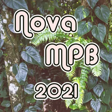 Vilão Particular-cover