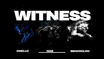 Witness-cover