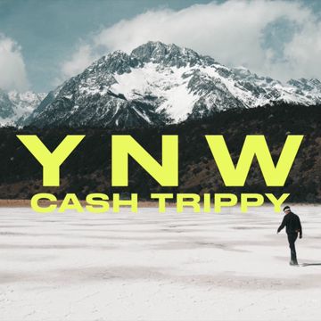 YNW-cover