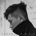 SOFA-cover
