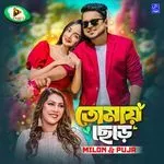 Tomay Chere-cover
