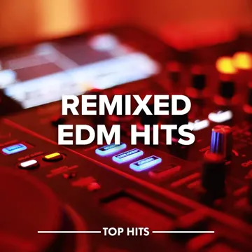 No Therapy (Toby Romeo Remix)-cover