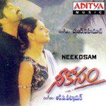 Nee Kosam-cover