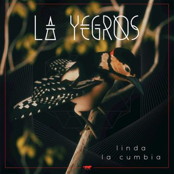 Linda la Cumbia-cover
