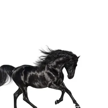 Old Town Road-cover