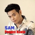 Pengen Kawin-cover